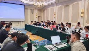 洛銅檢測主持修訂一項國家標準通過(guò)審定